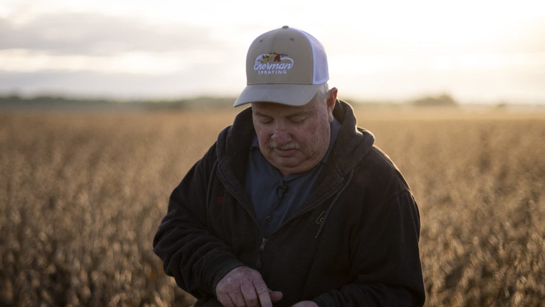 China is drowning in soybeans. U.S. farmers are drowning in frustration