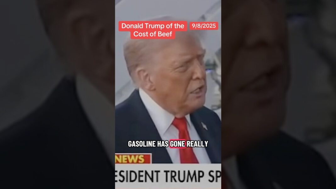 Trump on the cost of beef #news #poltics #economy #tariffs
