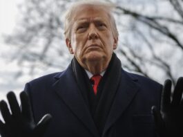 How Trump 2.0 is affecting investment in U.S. assets How Trump 2.0 is affecting investment in U.S. assets