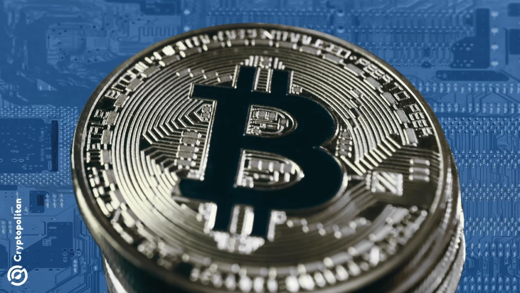 Bitcoin miners turn to AI as halving and energy costs crush profits