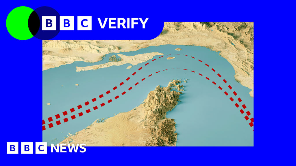 How many ships are crossing the Strait of Hormuz?