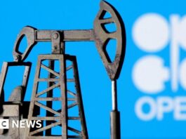 In five charts: How UAE's exit could affect Opec's influence over the oil price