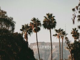 What It Costs to Live in Jacob Elordi’s Neighborhood