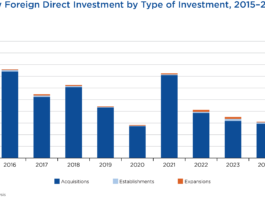 New Foreign Direct Investment Expenditures by Type, 1999-2024