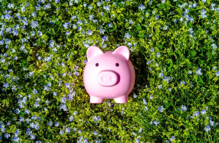 Avert Interest Rate Jitters With This Cash ETF