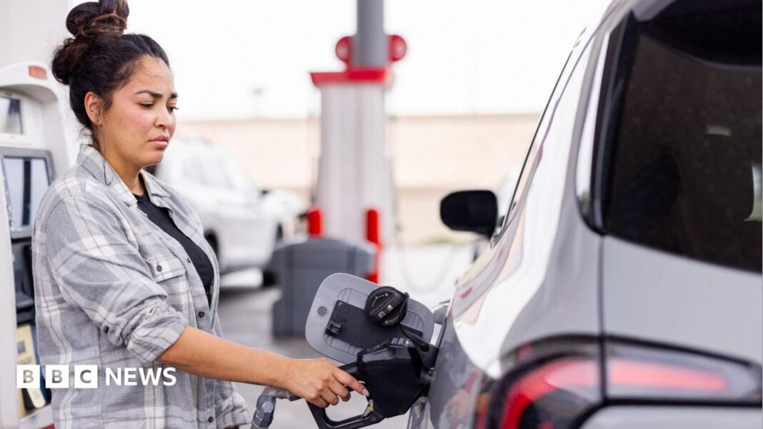 US inflation: Gas prices drive down CPI – but will it last?