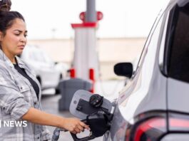 US inflation: Gas prices drive down CPI - but will it last?