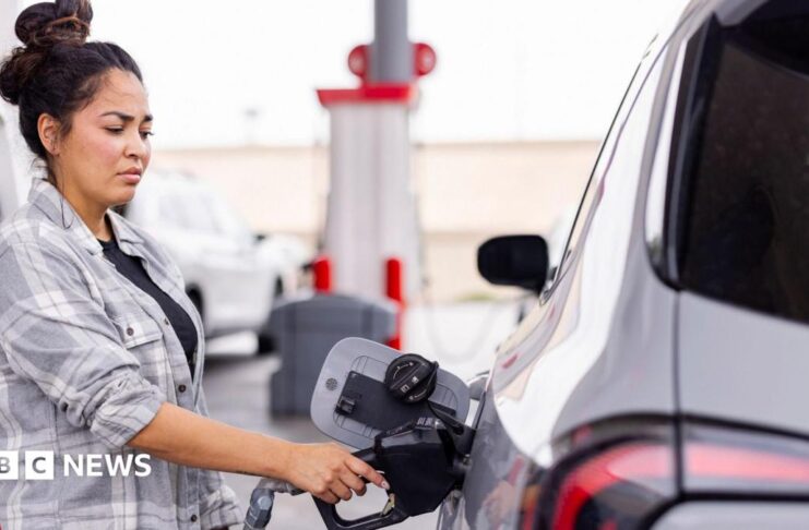 US inflation: Gas prices drive down CPI - but will it last?