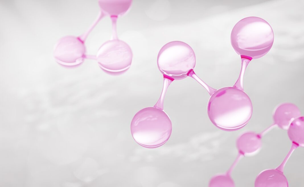Xencor Stock: Strong Buy XmAb819 Presentation End 2026 XmAb942 Interim Data (NASDAQ:XNCR)
