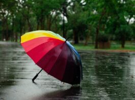 Do You Know Your Risk Tolerance? Do You Know Your Risk Tolerance?