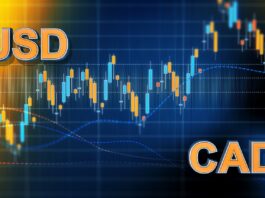 FX Markets And Central Banks Overview: USD/CAD, AUD/USD