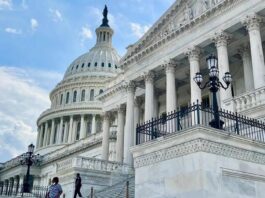 Is Clarity's delay a blessing in disguise?: State of Crypto