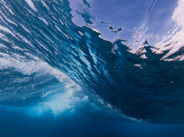 LA Water and Power Pension Adds Two Kayne Anderson Real Estate Funds