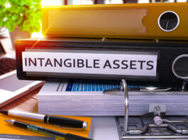 An Investor's Guide to Intangible Assets