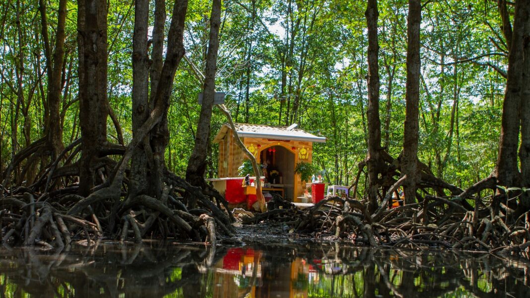Coastal construction projects threaten the mangrove forest that protects Vietnam's biggest city