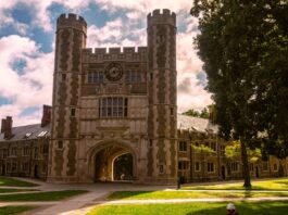 Princeton Endowment Returns 23.7%, Reaches Record $42.3B