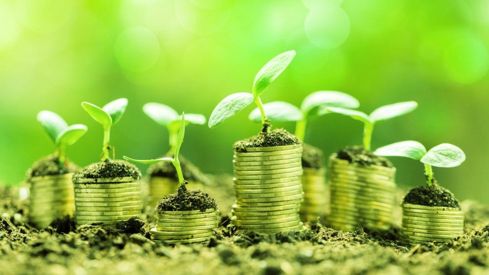 Tokenization Gains Ground & ETFs Have Room to Grow
